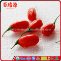 Goji Beeren Import ab Fabrikpreis